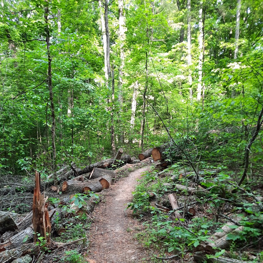 Collins River Nature Trail: Hiking & Mountain Biking Trailhead