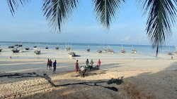 Foto di Kizimkazi Beach - luogo popolare tra gli intenditori del relax
