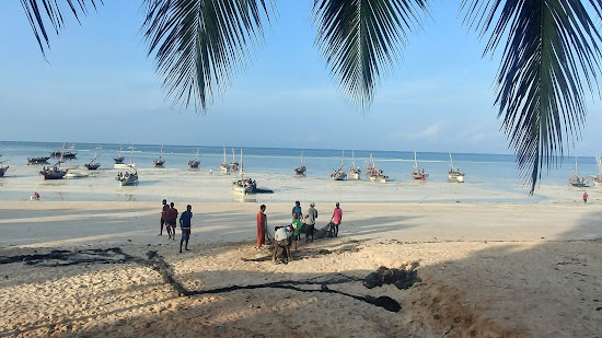 Kizimkazi Beach