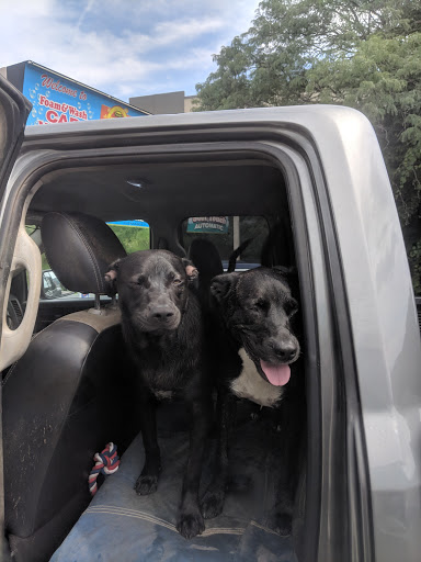 Pet Groomer «Foam & Wash Car & Pet Wash», reviews and photos, 20 Merritt Blvd, Fishkill, NY 12524, USA