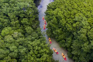 Eco Adventures Kayaks image