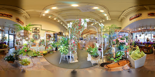 Florist «Celidan Creations, Inc.», reviews and photos, 152 W Gartner Rd #112, Naperville, IL 60540, USA