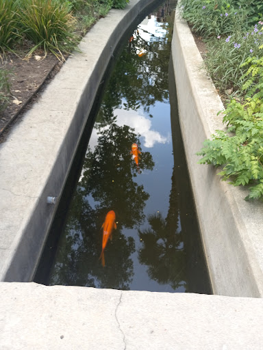 Museum «Guinness World Records Museum», reviews and photos, 329 Alamo Plaza, San Antonio, TX 78205, USA