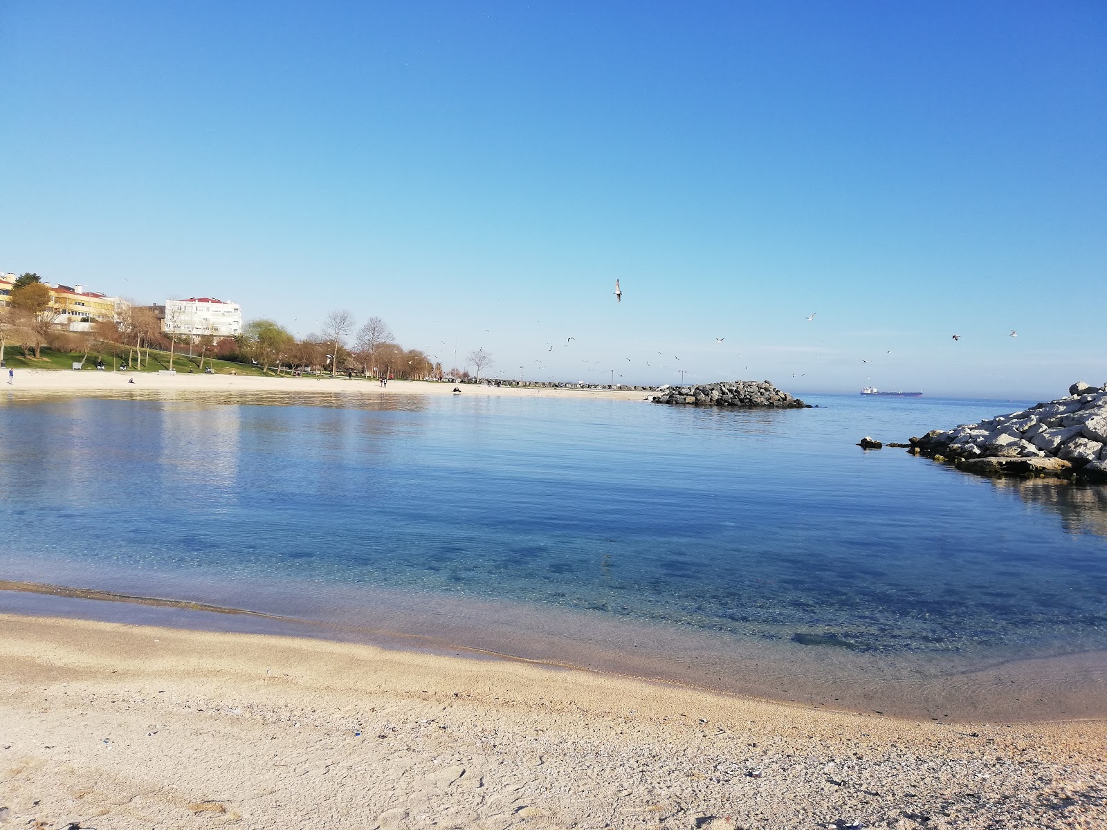 Zdjęcie Yesilkoy Ciroz beach z poziomem czystości wysoki