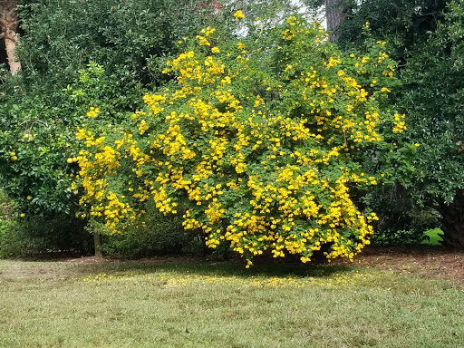 Golf Club «Sea Palms Golf Club», reviews and photos, 5445 Frederica Rd, Saint Simons Island, GA 31522, USA