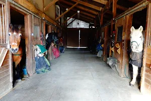 Saddle Brook Farm Animal Rescue image