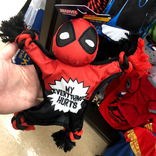 Pet Supply Store «Petco Animal Supplies», reviews and photos, 130 New Moriches Rd, Lake Grove, NY 11755, USA