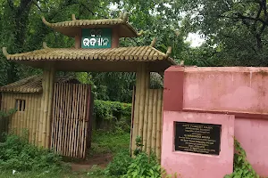Forest Park, Balangir image