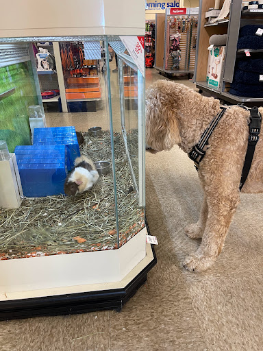 Pet Supply Store «PetSmart», reviews and photos, 443 N Rolling Meadows Dr, Fond du Lac, WI 54937, USA