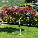 Photo n°1 de l'avis de Paolo.a fait le 30/04/2018 à 17:19 sur le  La Cacciatora à Mezzocorona