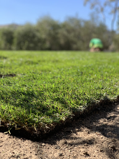 Sod and Seed, Inc.