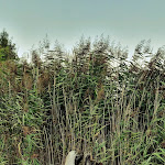 Photo n°10 de l'avis de René.e fait le 06/09/2021 à 13:47 sur le  Dein Lieblingsplatz in Parey à Elbe-Parey