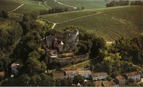 Château Langoiran - La Boutique des Vignobles Gonfrier à Langoiran