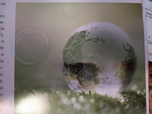 Tintolavanderia Stireria Onda Blu'