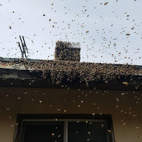 J R Bees - Photo 4 - Car repair in , San Diego