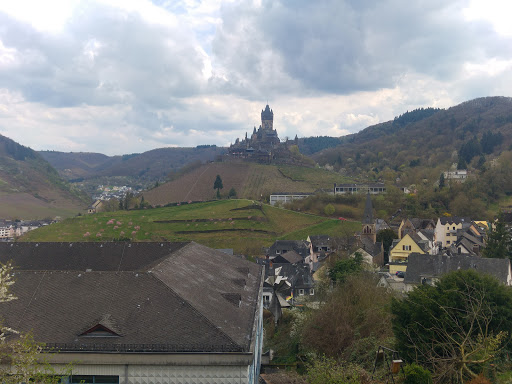 Dr. Frank Feiden Tierarzt unter Cochem, 