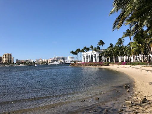 History Museum «Henry Morrison Flagler Museum», reviews and photos, 1 Whitehall Way, Palm Beach, FL 33480, USA