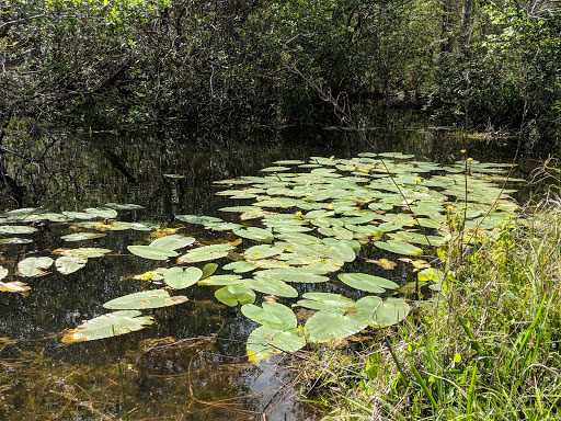 Golf Driving Range «Cypress Lakes Golf Club», reviews and photos, 2365 Old Chemstrand Rd, Cantonment, FL 32533, USA