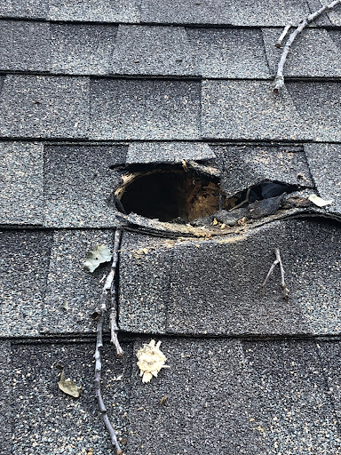 Roofing Contractor «Landmark Roofing», reviews and photos, 540 Baltimore Annapolis Blvd, Severna Park, MD 21146, USA