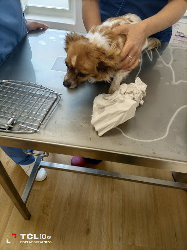 Clínica Veterinaria Supermascota en Sevilla