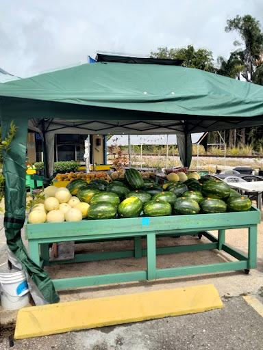 Produce Market «Panagiotis Pietris», reviews and photos, 2380 NE Coachman Rd, Clearwater, FL 33765, USA