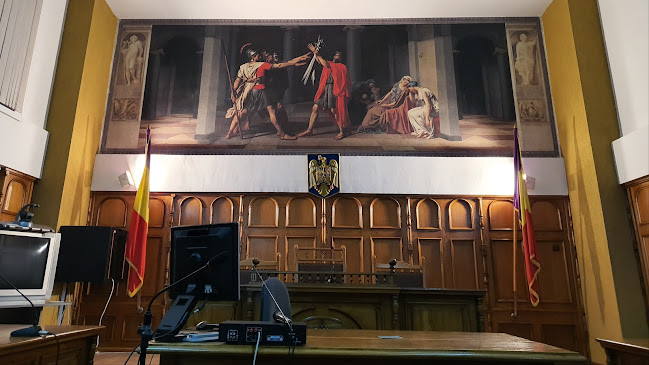 Tribunalul Botoșani - <nil>
