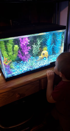 Pet Store «New England Tropical Pet», reviews and photos, 49 Drum Hill Rd, Chelmsford, MA 01864, USA