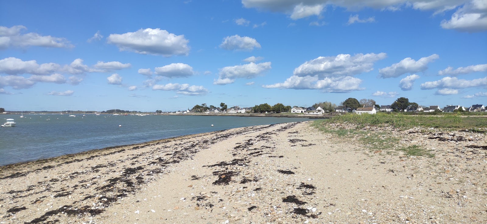 Plage du Govet'in fotoğrafı - rahatlamayı sevenler arasında popüler bir yer