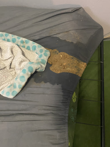 Pet Supply Store «Pet Needs Etc», reviews and photos, 5664 N Telegraph Rd, Dearborn Heights, MI 48127, USA