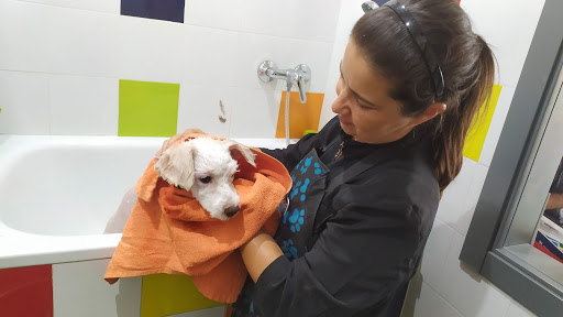 Clínica Veterinaria Zoovet en Málaga