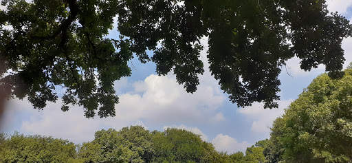 Park «Cherrywood Park», reviews and photos, 5400 Cedar Springs Rd, Dallas, TX 75235, USA