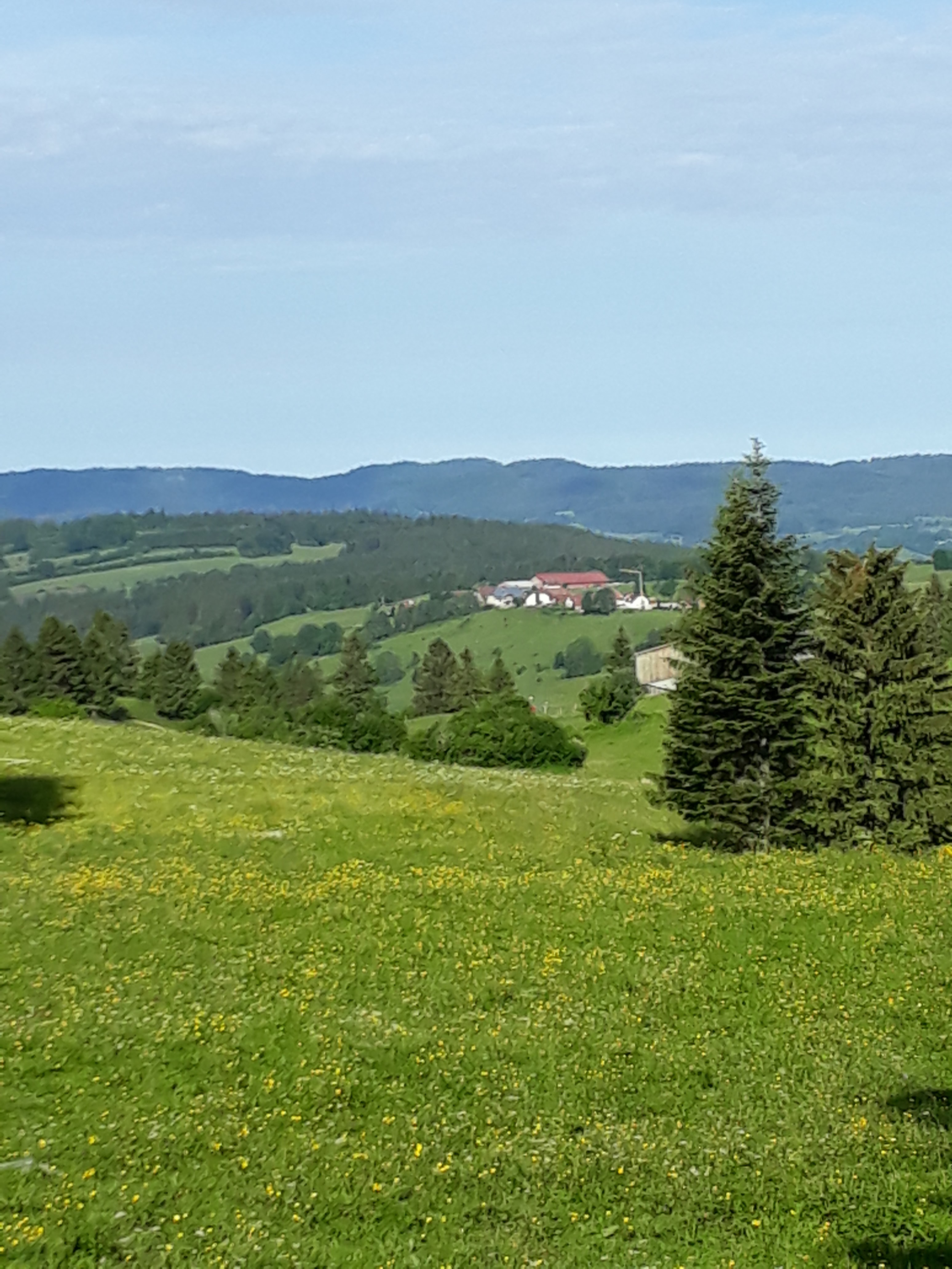 Photo n° 2 de l'avis de Wilma.o fait le 16/06/2018 à 07:11