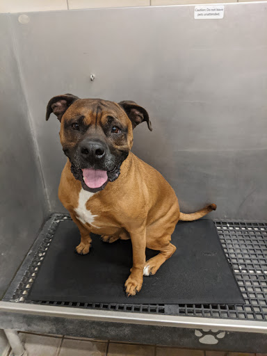 Pet Supply Store «Pet Supplies Plus», reviews and photos, 10 Glenridge Rd #3, Glenville, NY 12302, USA