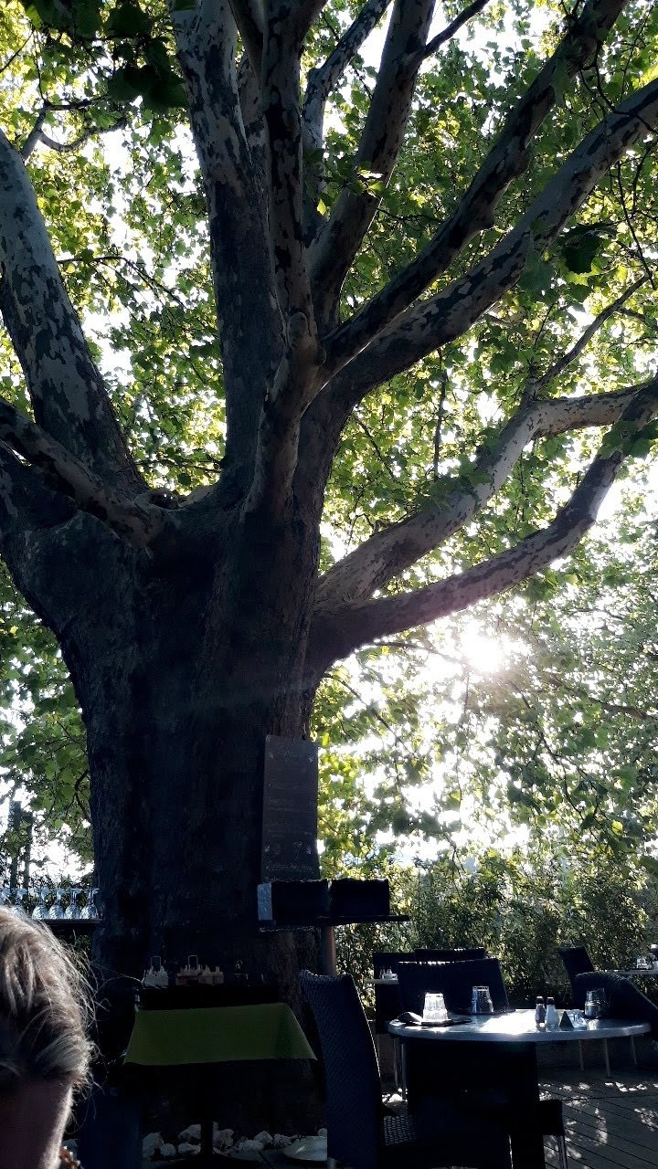 Photo n° 2 de l'avis de Teddy.a fait le 09/08/2019 à 19:45