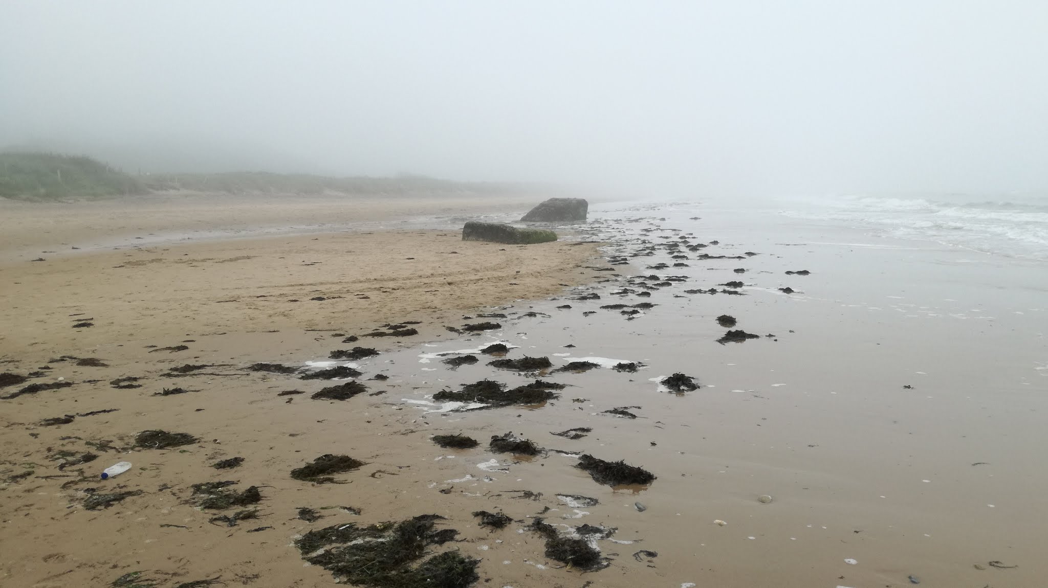 Photo n° 6 de l'avis de Peter.a fait le 14/06/2018 à 12:02