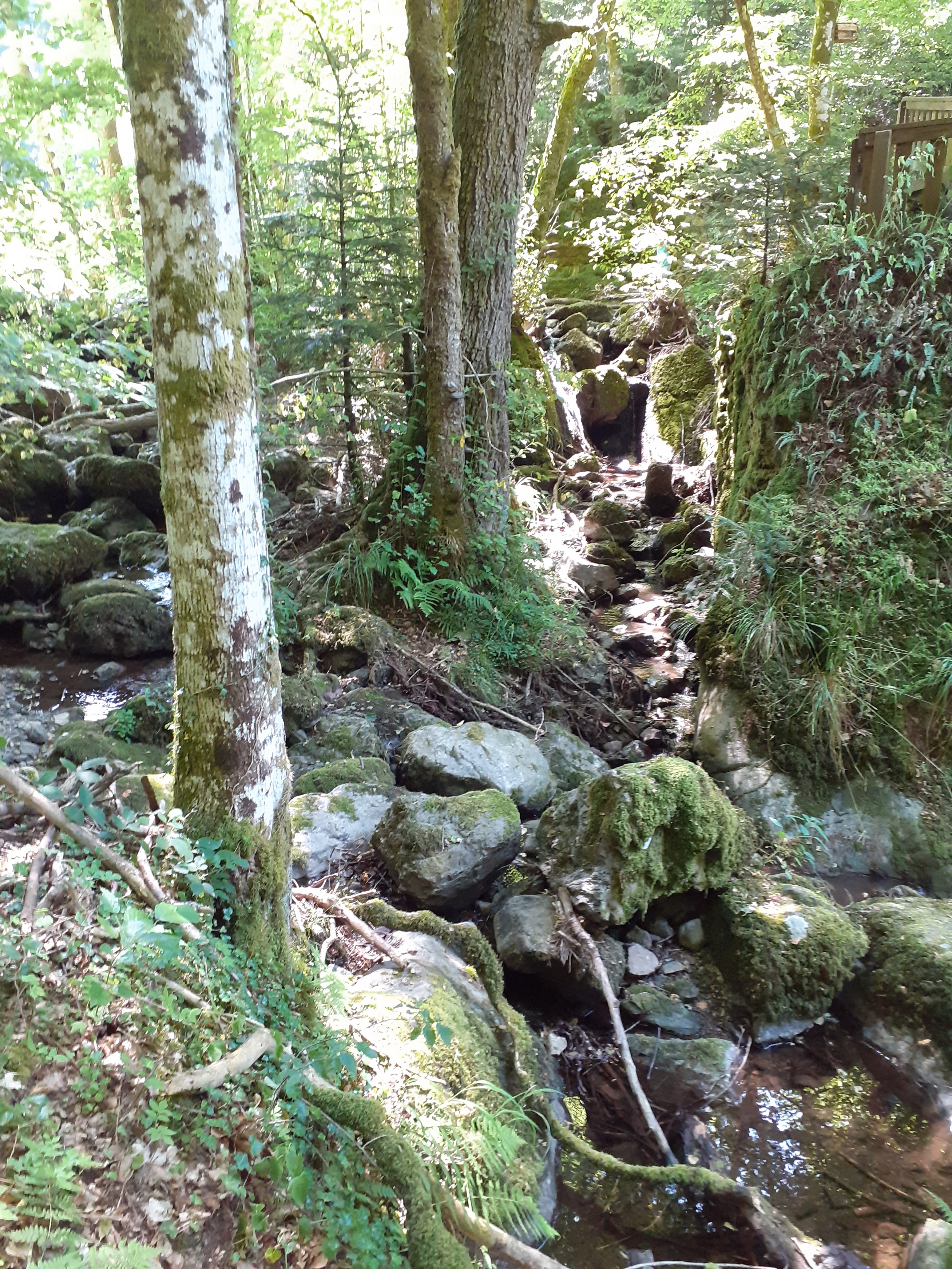 Photo n° 3 de l'avis de sybille.e fait le 26/07/2019 à 09:33