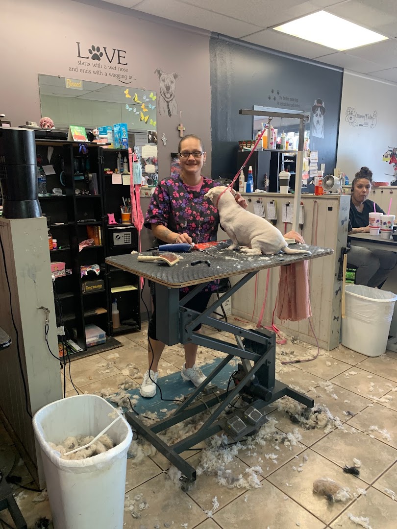 Lubbock Pet Grooming