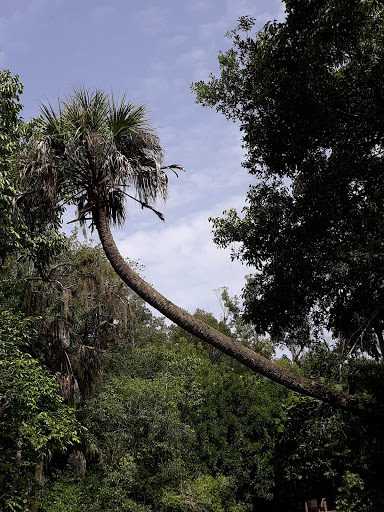 Park «Buckingham Community Center», reviews and photos, 4940 Buckingham Rd, Fort Myers, FL 33905, USA