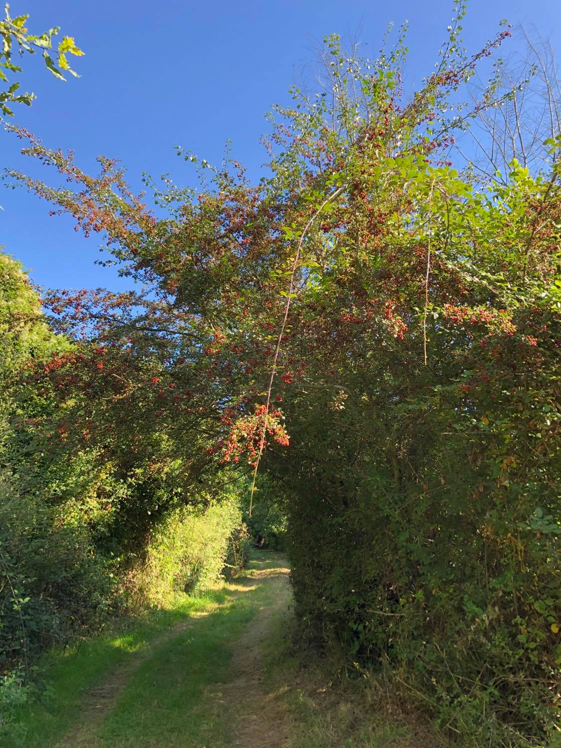 Photo n° 3 de l'avis de Wara.u fait le 21/09/2021 à 17:05