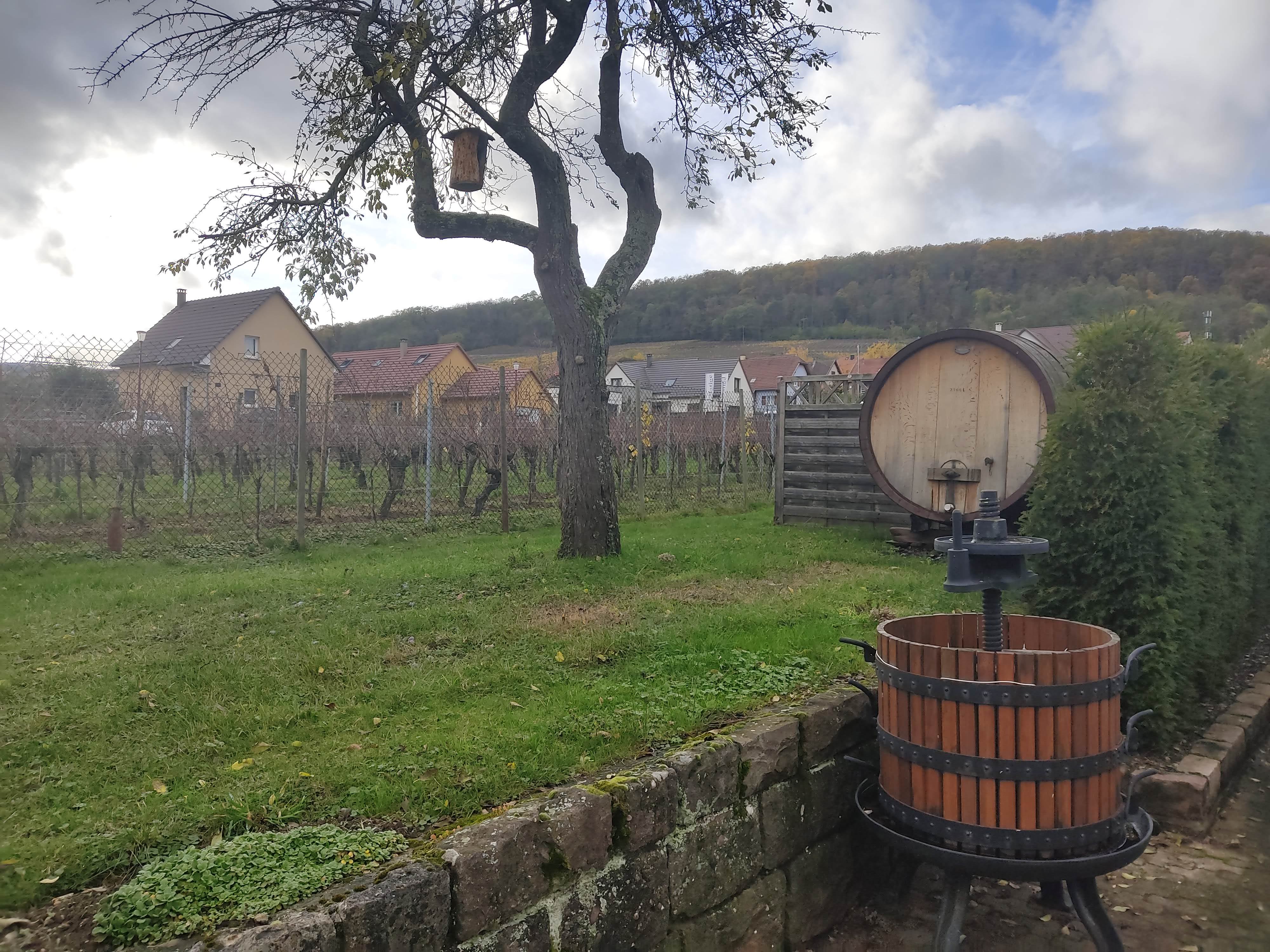 Photo n° 5 de l'avis de Arnaud.a fait le 19/11/2023 à 18:59
