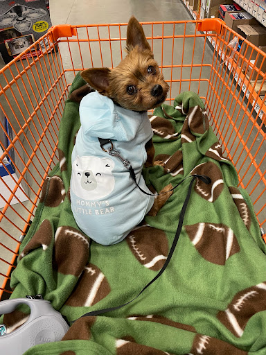 Home Improvement Store «The Home Depot», reviews and photos, 6415 Petrie Way Rd, Rosedale, MD 21237, USA