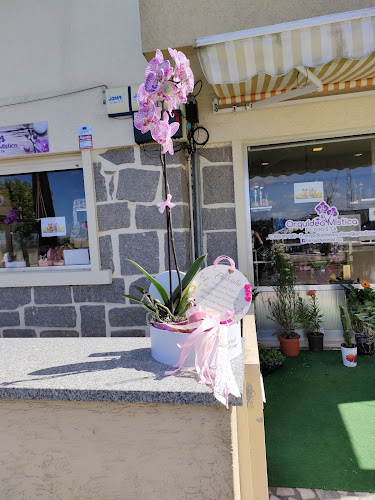 Orquídea Mística Store Florista