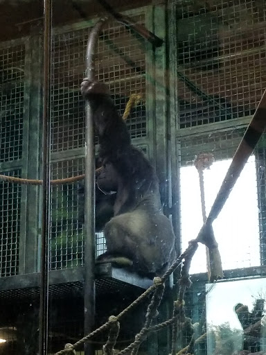 Park «Joe Creason Park», reviews and photos, 1297 Trevilian Way, Louisville, KY 40213, USA