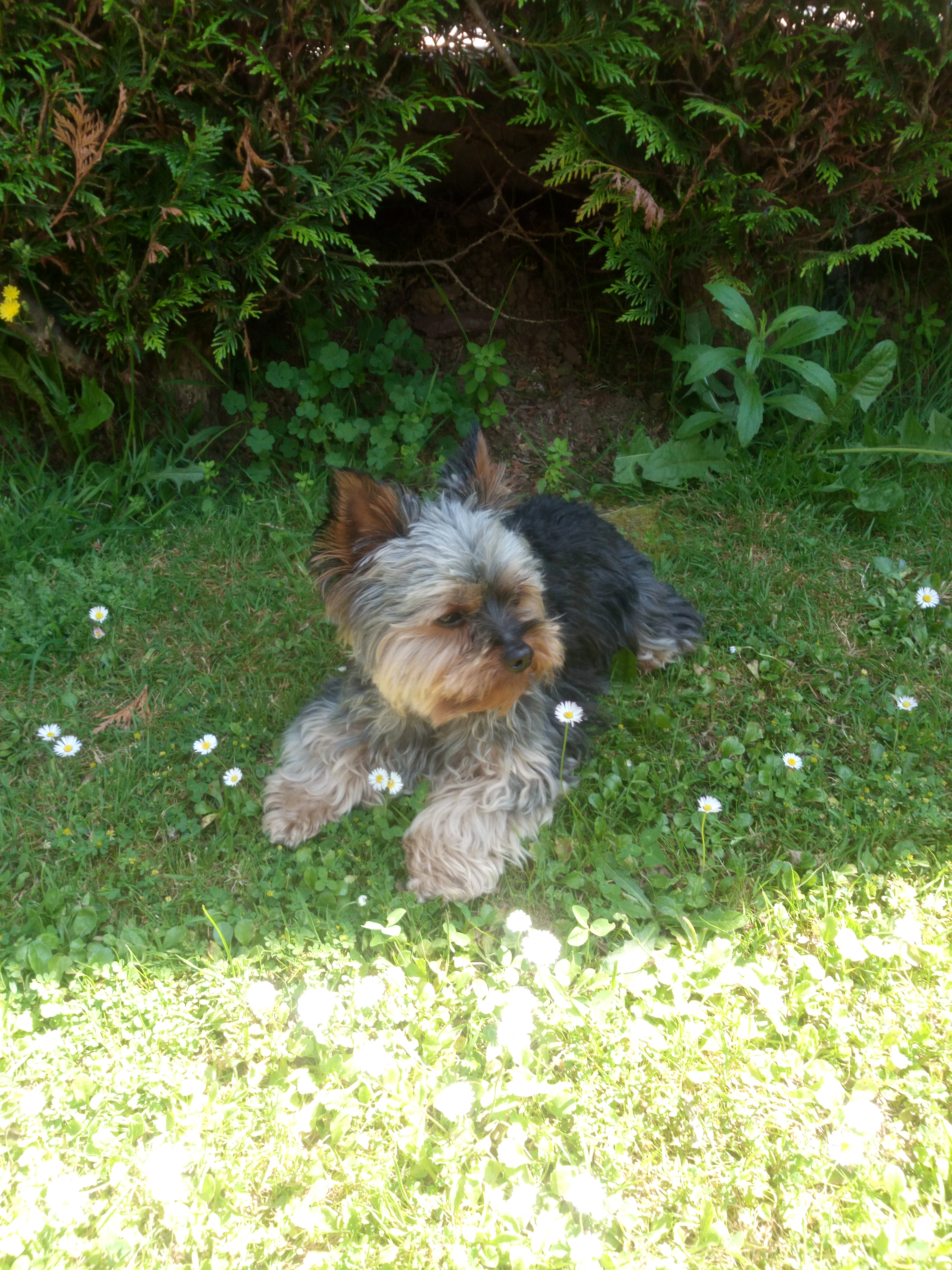 Photo n° 1 de l'avis de Mari-meli.a fait le 03/04/2019 à 15:57