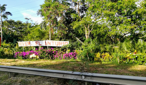 Vivero El Anturio