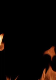 Photo n°16 de Fastgourmet17 à Surgères ()