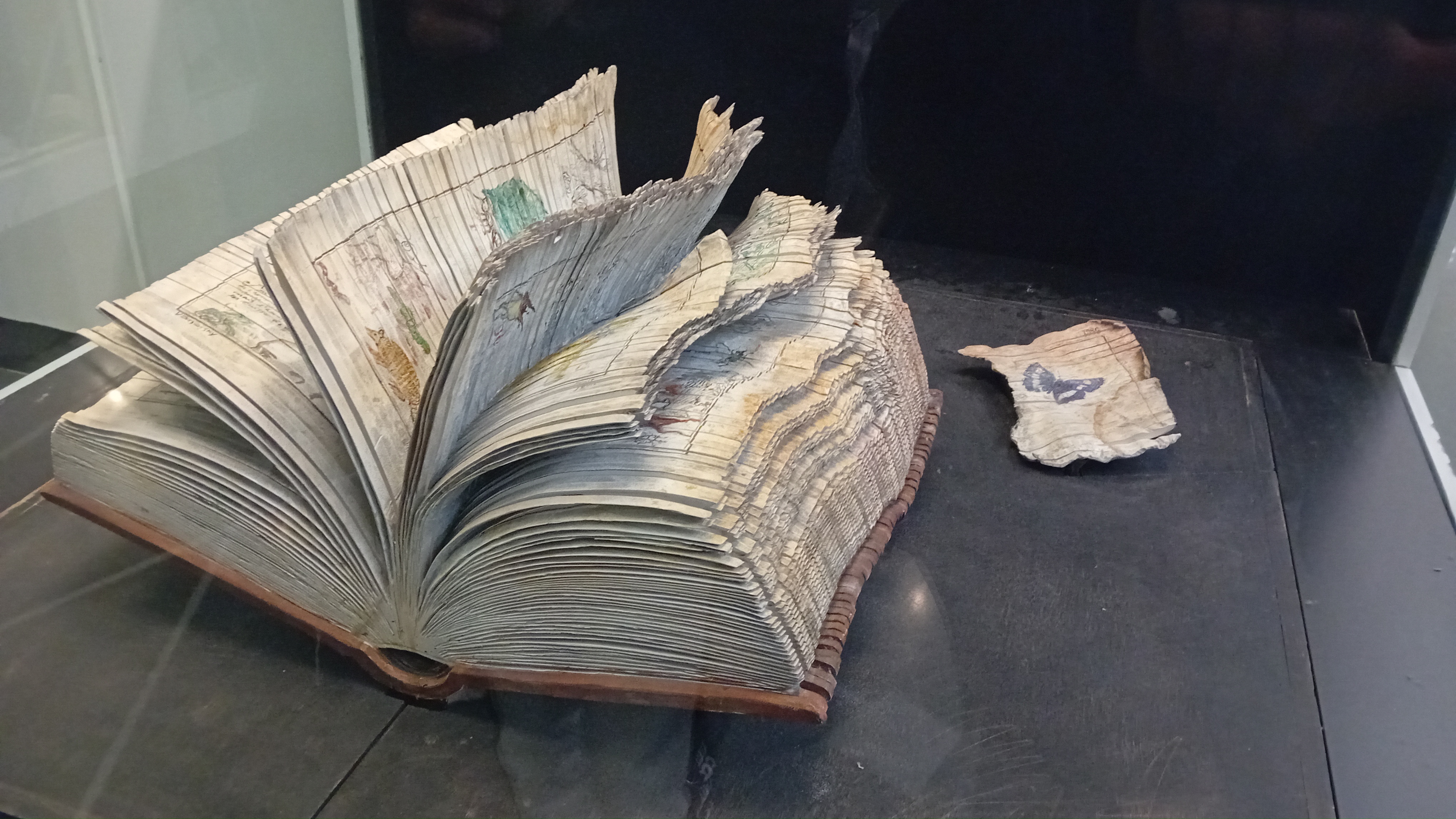 Photo n° 6 de l'avis de Julie.L fait le 06/01/2024 à 09:09