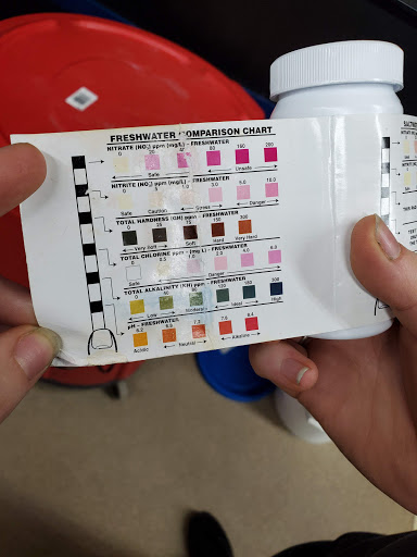 Pet Supply Store «Petco Animal Supplies», reviews and photos, 86 Storrs Rd, Mansfield Center, CT 06250, USA