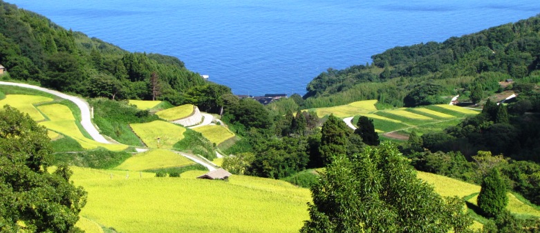 お米ひろば野口屋