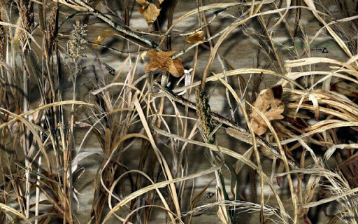 Water Park «Liberty Lagoon», reviews and photos, 111 Lobdell Ave, Baton Rouge, LA 70806, USA